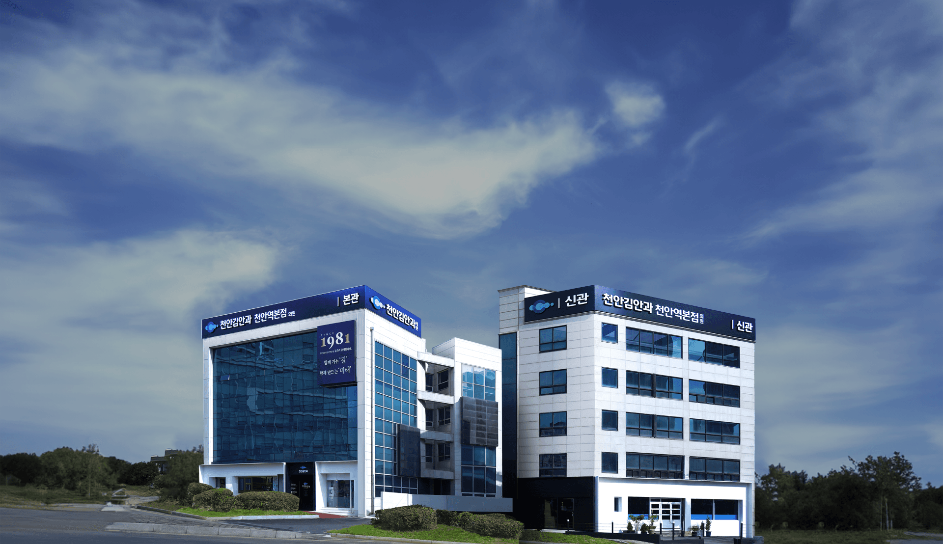 Since 1981, Focused Solely on Your Eyes