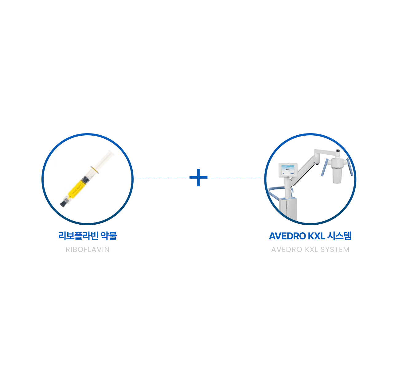 천안·아산 유일 시행