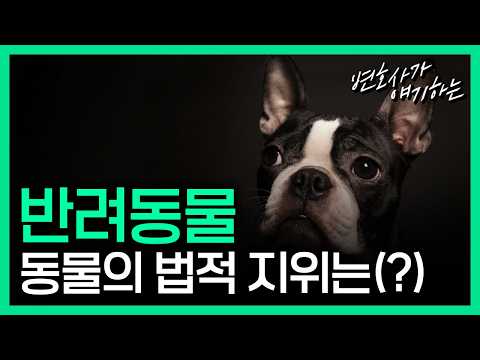 동물은 물건이다?