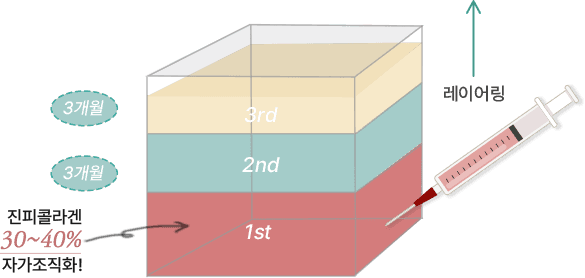我们必须关注深层脂肪